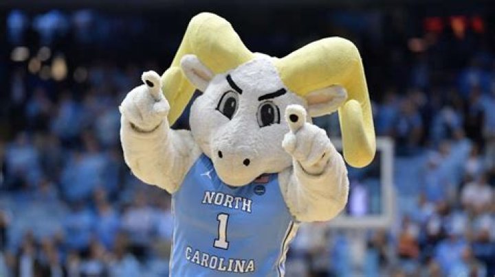 Exploring The Meaning Of Tar Heel And Its Significance