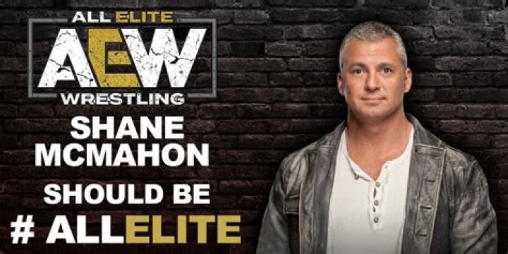 Exploring The Wealth Of Shane McMahon