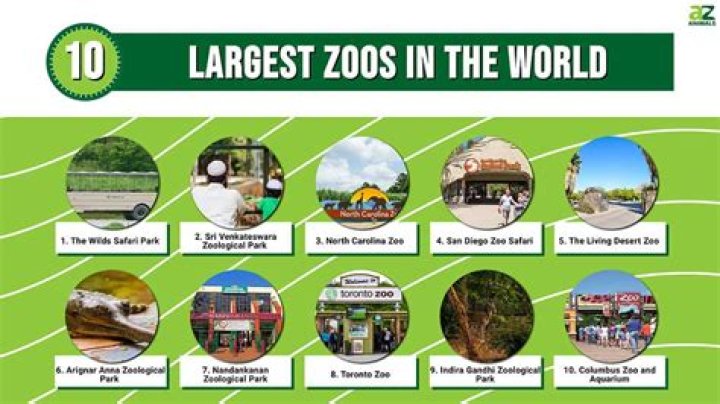 Exploring the World’s Top Zoos in the World |
