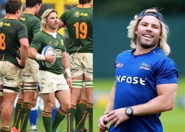 Faf De Klerk's Age, Height, Weight, And Inspiring Journey