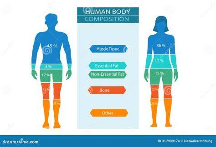 Height, Weight & Body Composition Revealed