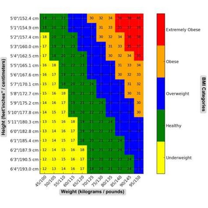 Height, Weight, Body Stats, And More!