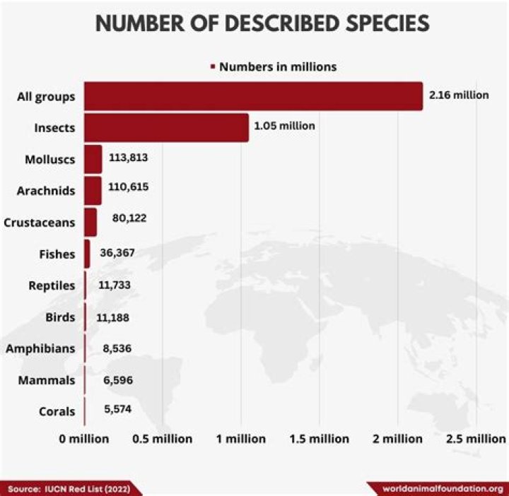How many animals are in the world? |