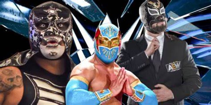 How Much Does the Wrestler and Commentator Earn? |