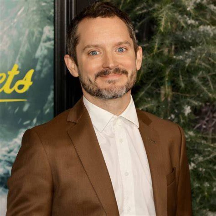 How To Calculate Elijah Wood's Net Worth?