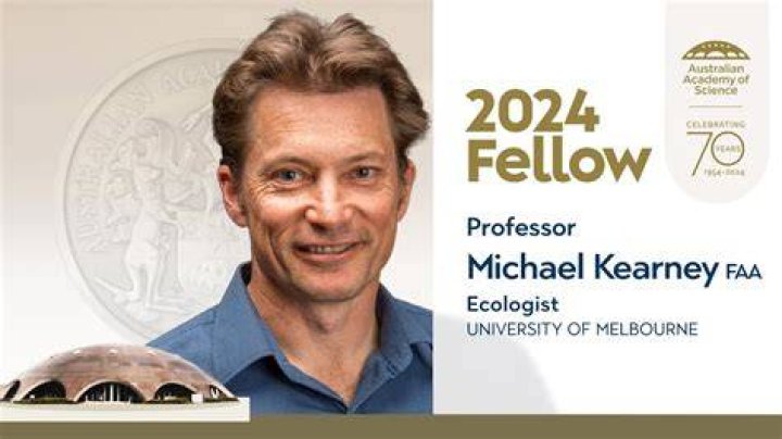 How To Uncover Michael Kearney's Latest Earnings