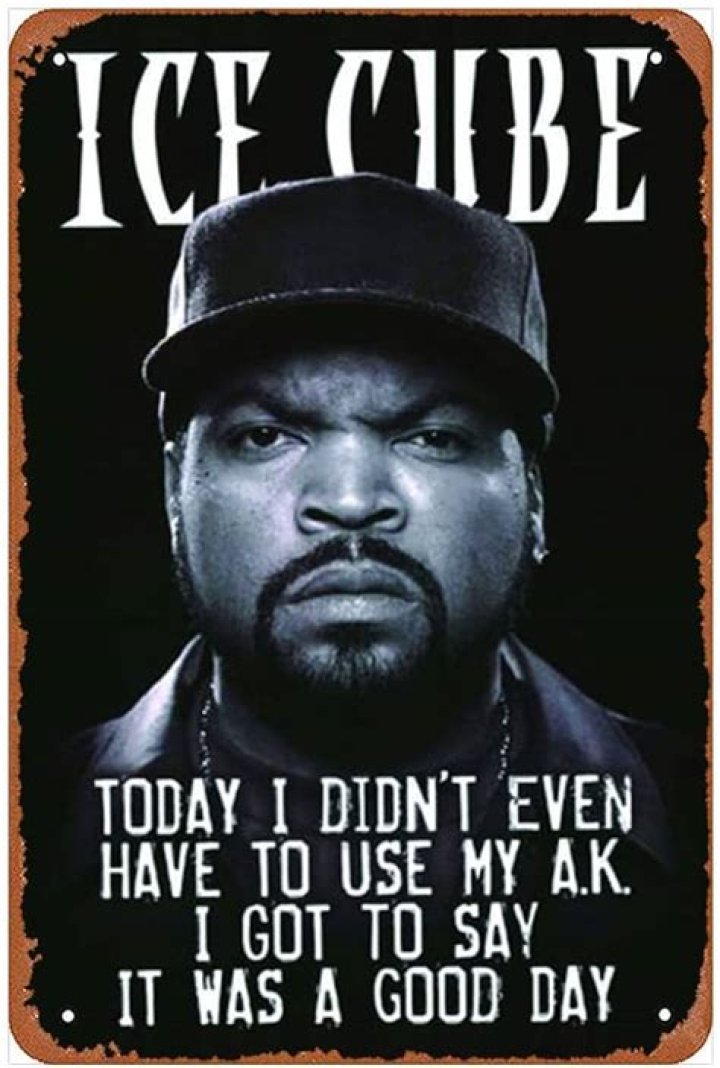 Ice Cube Trolled By His Son Over It Was A Good Day Reference