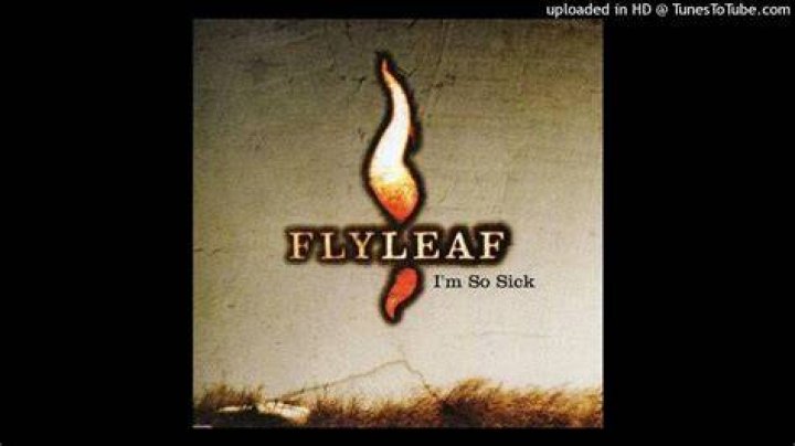 Im So Sick Flyleaf Lyrics |