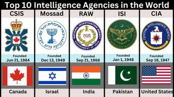 Inside Their World Of Intelligence, Grace, And Impact