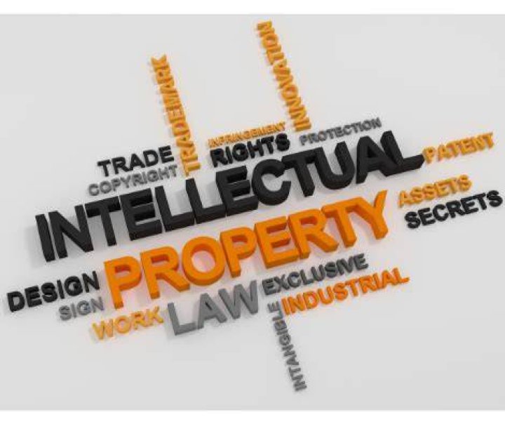 Insights Into Intellectual Property Law