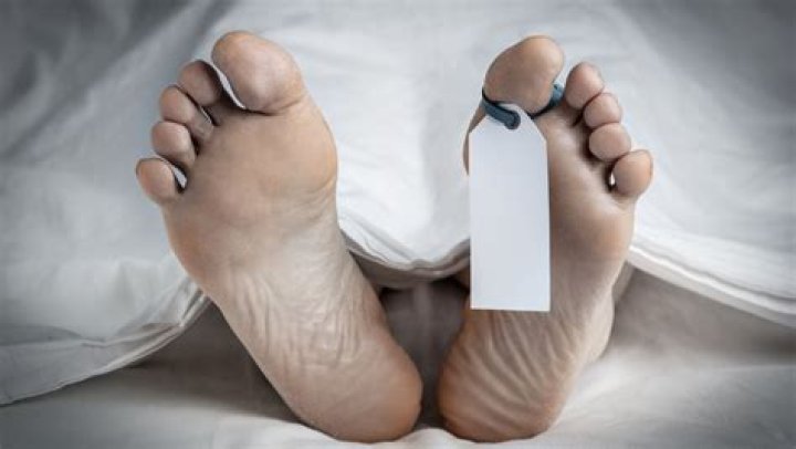 Insights Into Lacey Fletcher Autopsy Photos