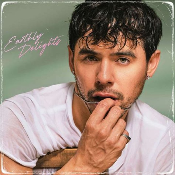 Is David Archuleta Gay? Why Is the Sexuality of American Pop Singer a Topic of Debate?