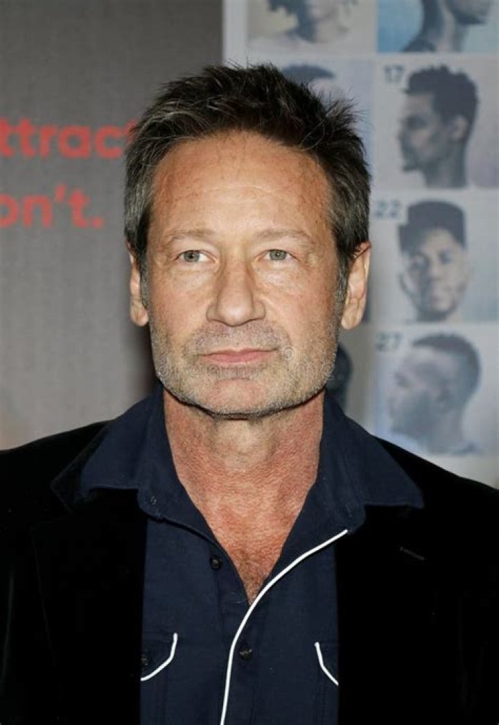 Is David Duchovny's Son An Actor?