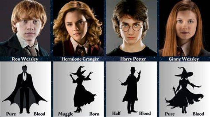 Is Harry a pureblood? Celebrity.fm #1 Official Stars, Business & People Network, Wiki, Succe