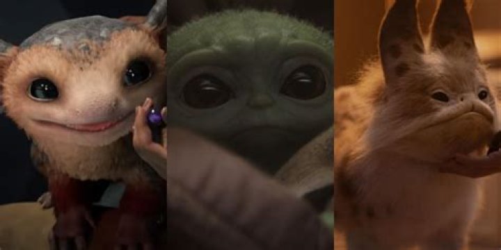 Journey Of An Adorable Star Kid