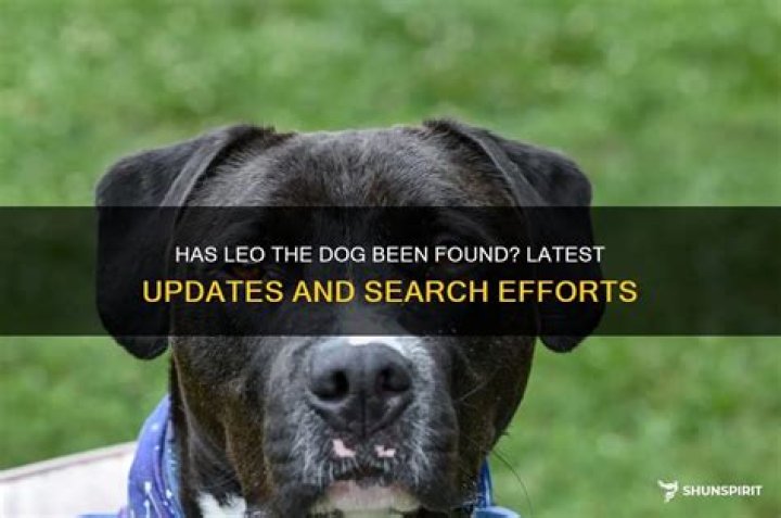 Latest Updates And Search Efforts