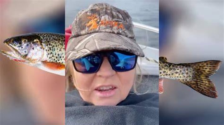 Master The Art Of Catching A Trout Lady