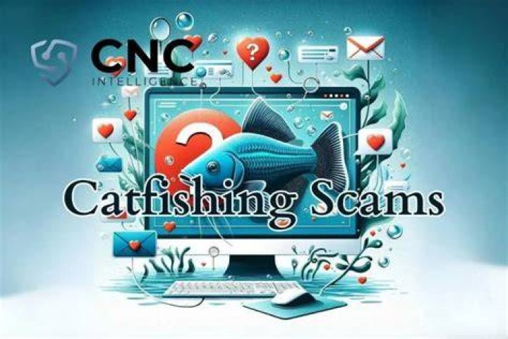 Meri Brown's Deceptive Catfish Scam
