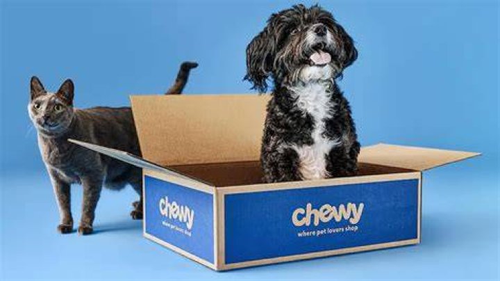 Minka Kelly and Her Dog Chewy Star in a New Campaign for Pet Adoption |