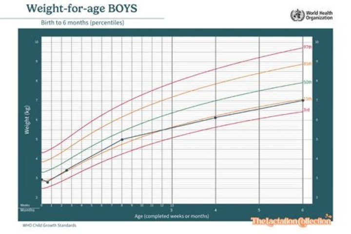 Nathan Chen's Weight And Its Impact