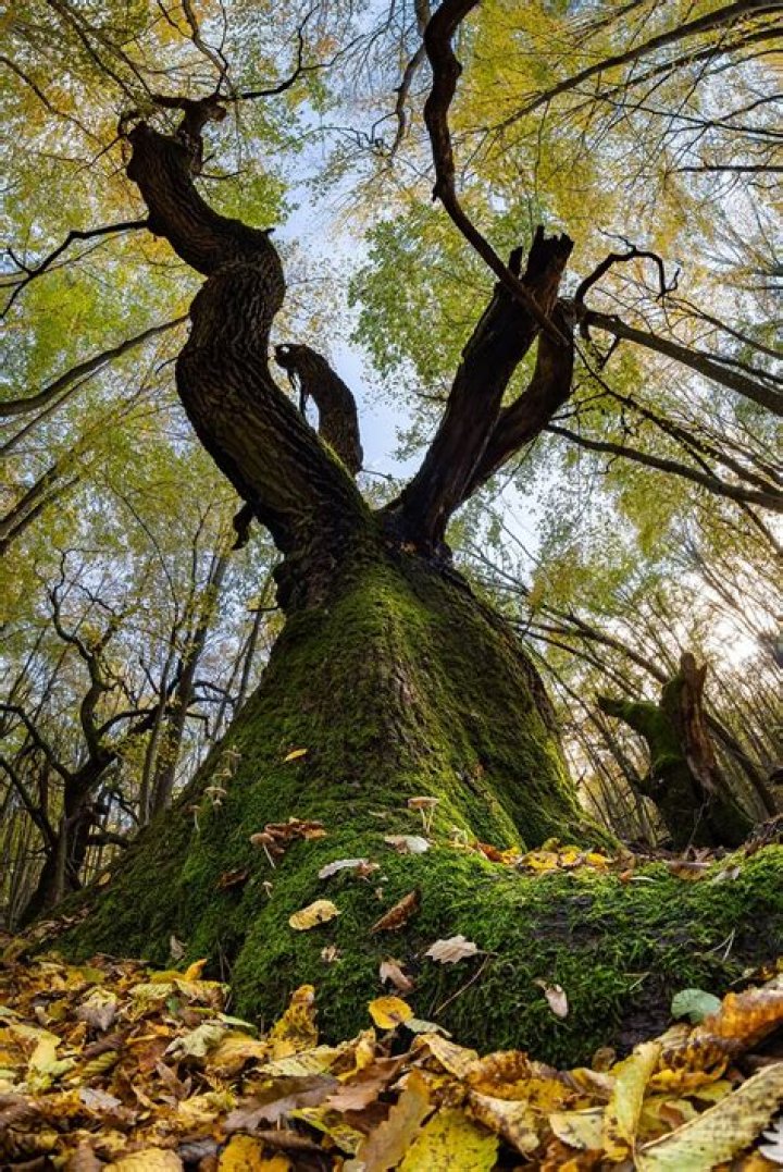Nature Captured At Its Finest