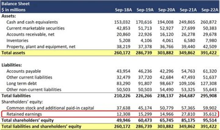 Net Worth, Earnings, And Financial Journey