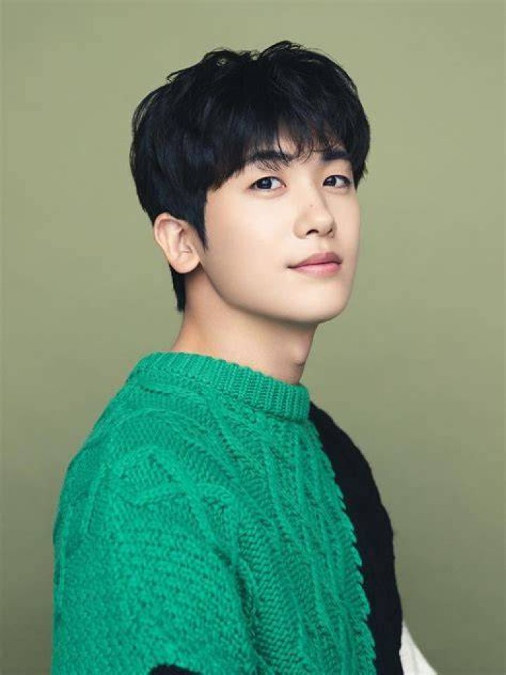 Park Hyung-sik Biography, Age, Height, Wife, Net Worth, Family ·