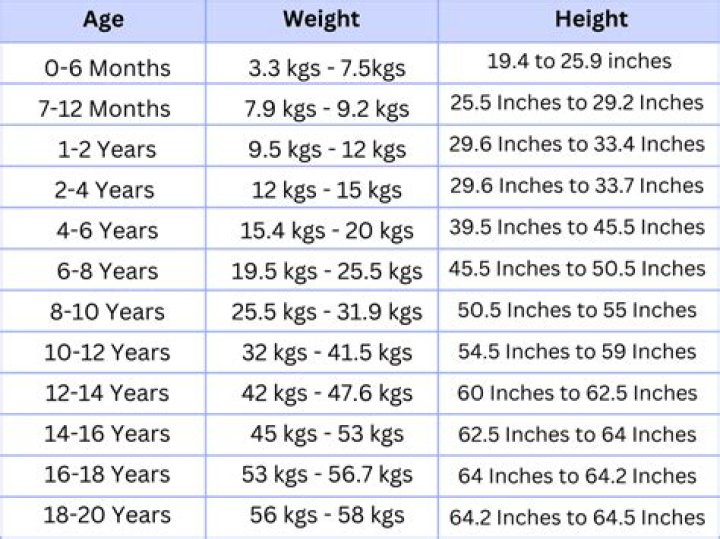 Putin's Age And Height, Insights Revealed