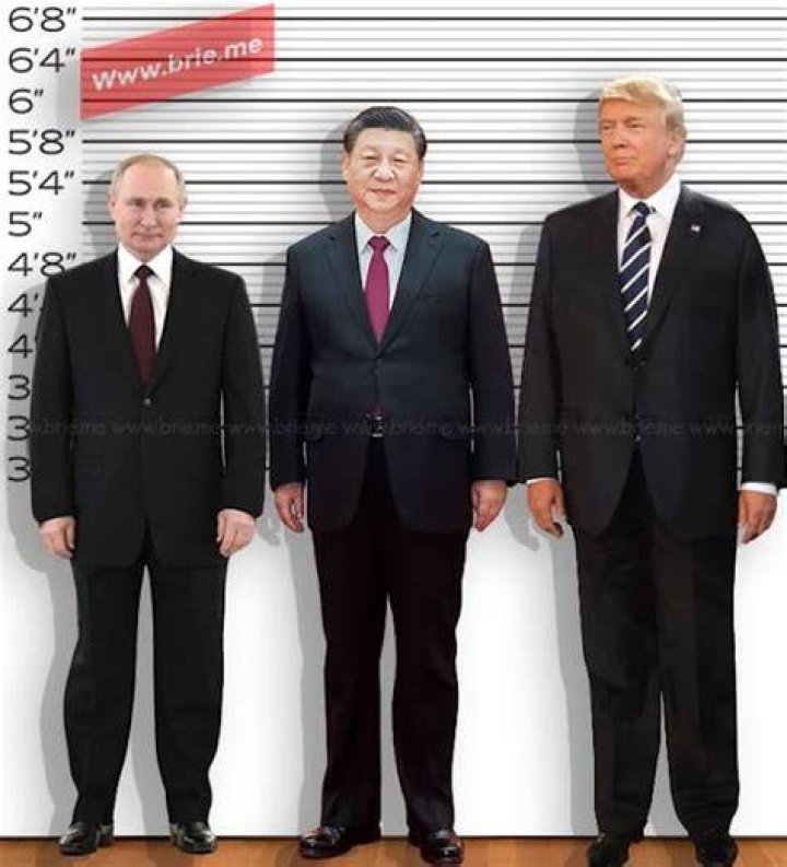 Putin's Real Height And Its Untold Significance