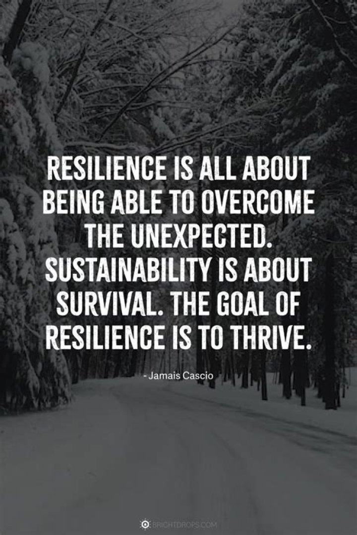 Resilience, Triumph, And Behind-the-Scenes Revelations