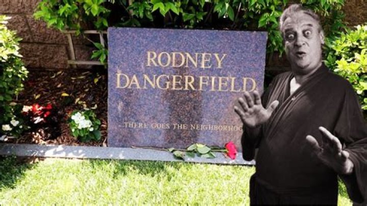 Rodney Dangerfield Cause of Death, How did Rodney Dangerfield Die? ·