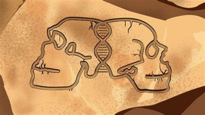 Surprising Discoveries And Hidden Connections