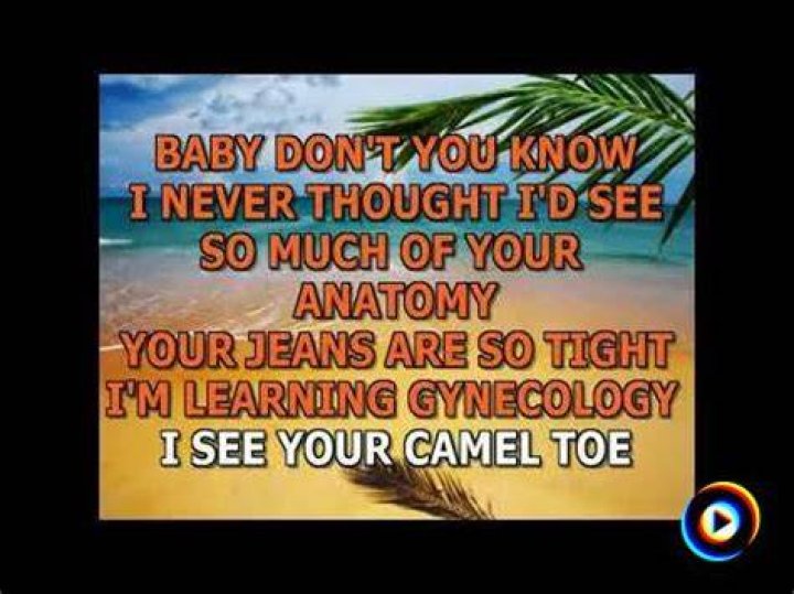 The Camel Toe Song | Bob And Tom Band Lyrics, Meaning & Videos