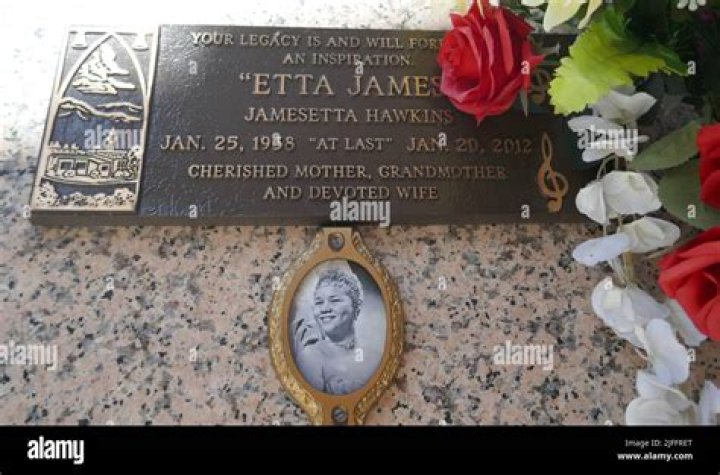 The Enigmatic Husband of Iconic Singer Etta James |