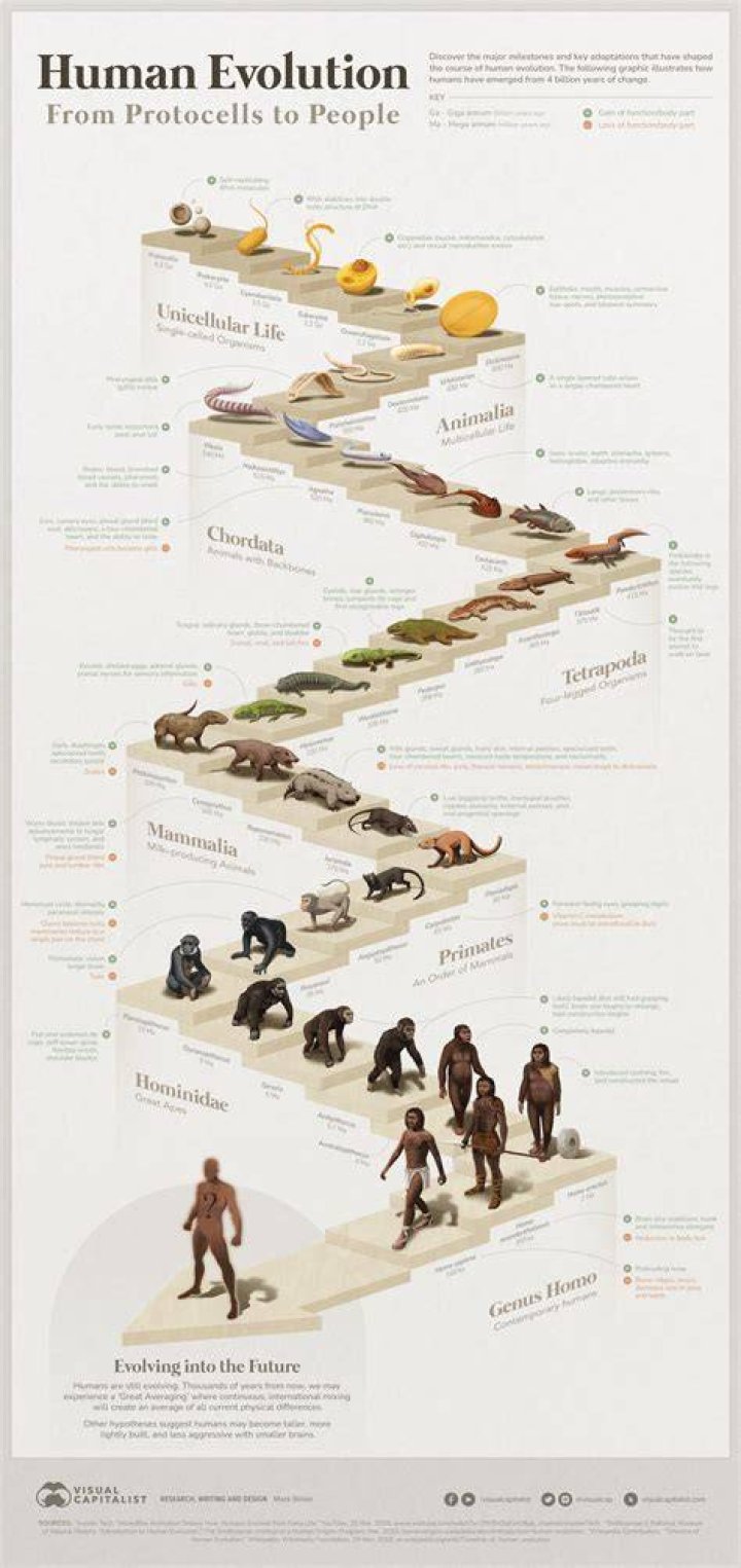 The Evolution Of Kitsch Revealed