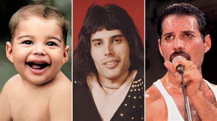 The Untold Truth About Freddie Mercury's Children