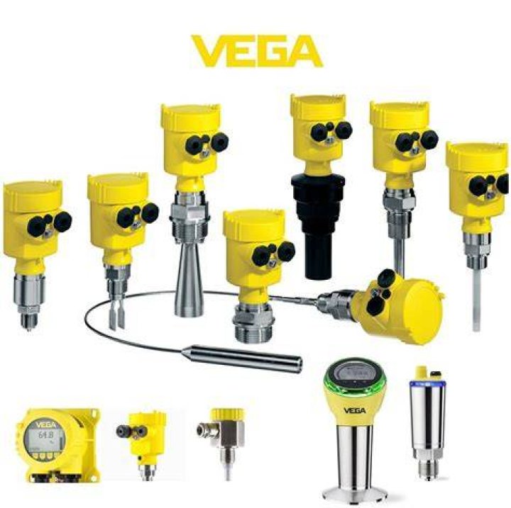 The Vega Thompson Leak Exposed