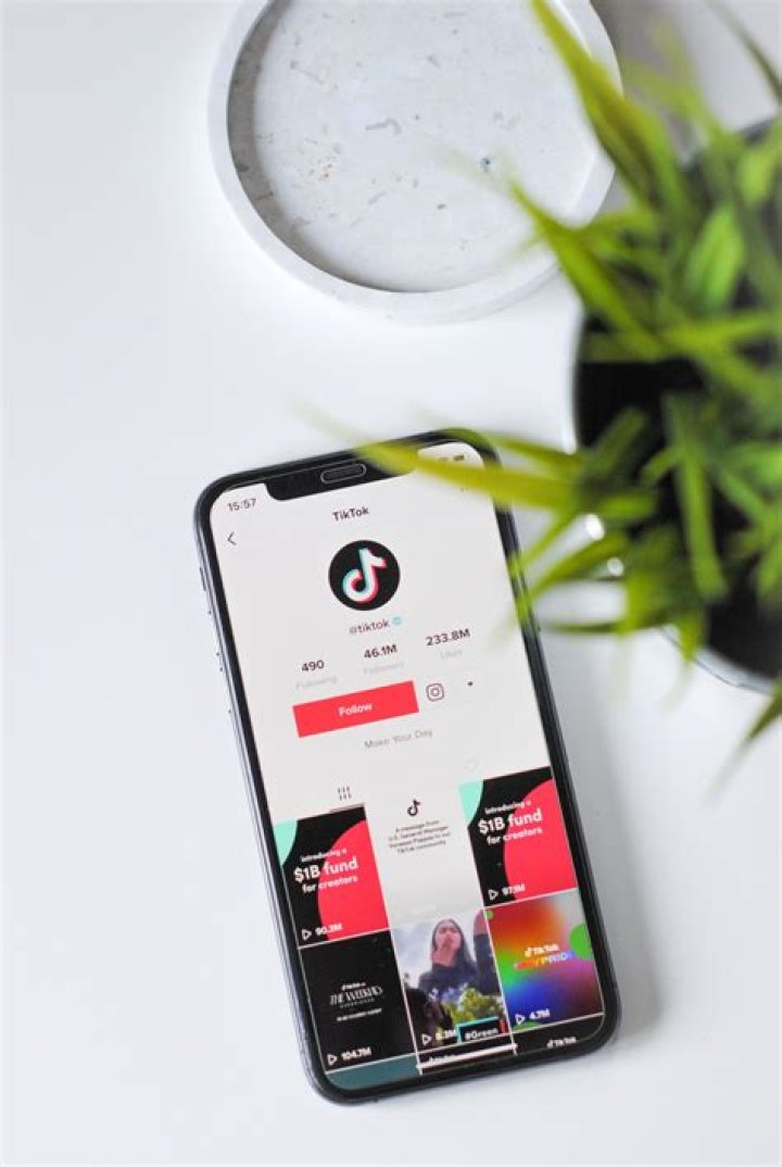 TikTok's Hidden Features To Protect Your Data