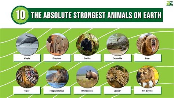 Top 10 Strongest Animals in the World |