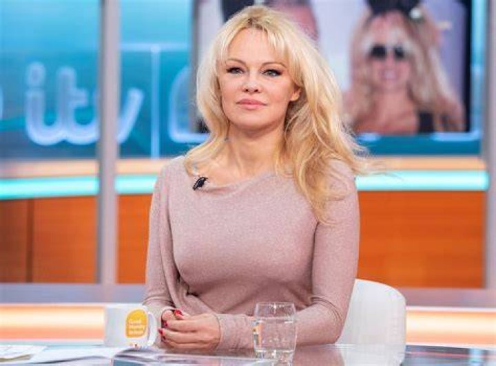 Tori Anderson Biography , Husband Age, Wiki And Net Worth