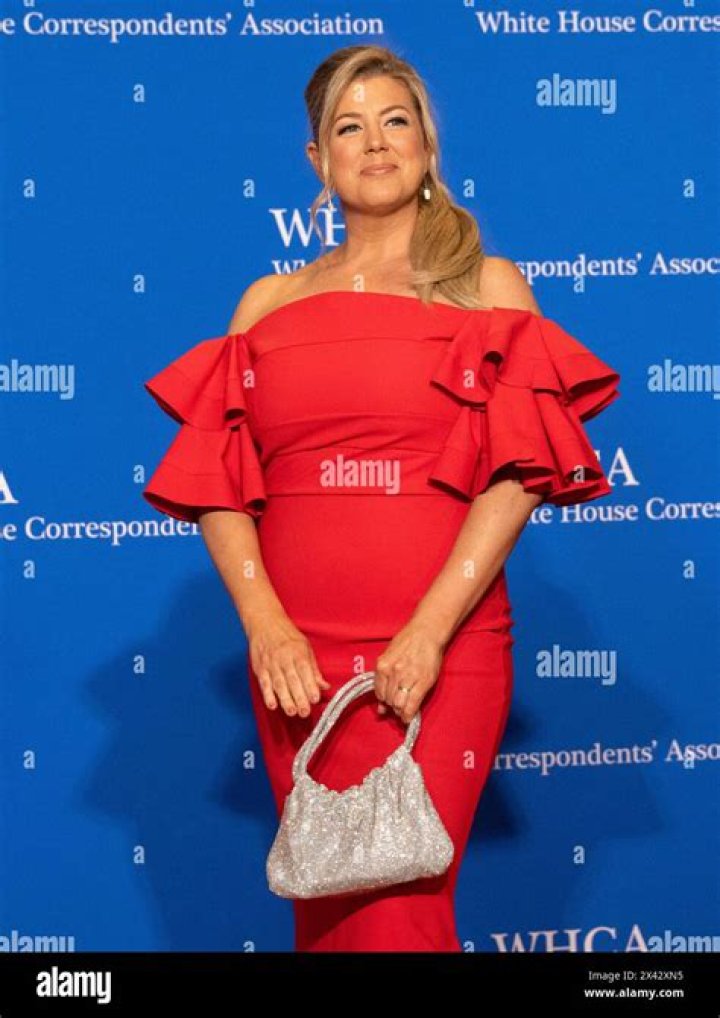 Uncover Brianna Keilar's Current Role And Impact