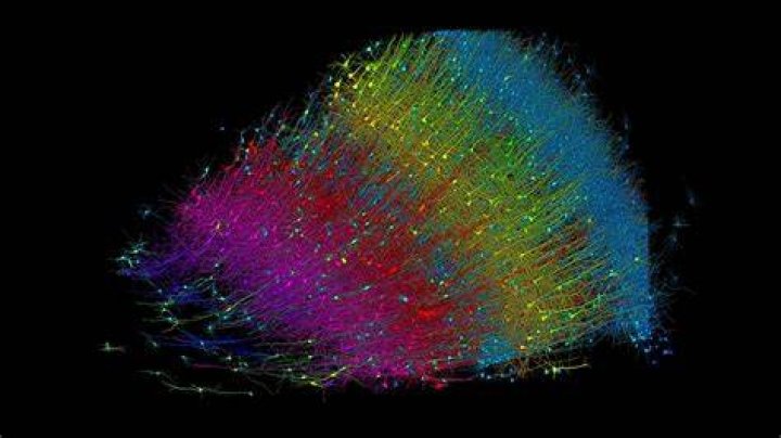 Uncover Dr. Colin Manock's Revolutionary Insights