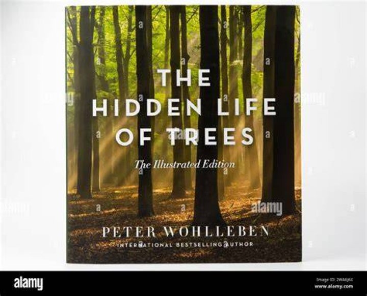Uncover The Hidden Life Of Laura Alitio: Discoveries And Insights