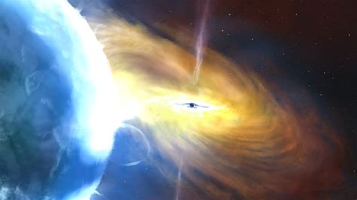 Uncover The Latest Discoveries And Insights