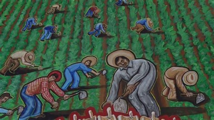 Uncover The Legacy Of Labor Leader Paco Zazueta: Champion Of Farmworker Rights
