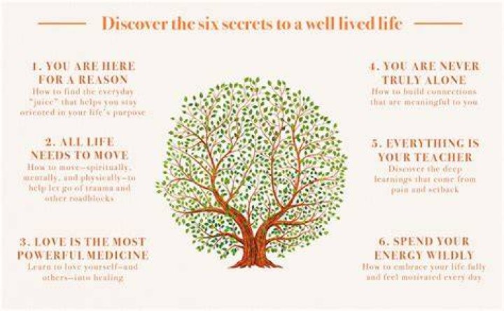 Uncover The Secrets To Health And Well-being With Dr. Brad Schaeffer