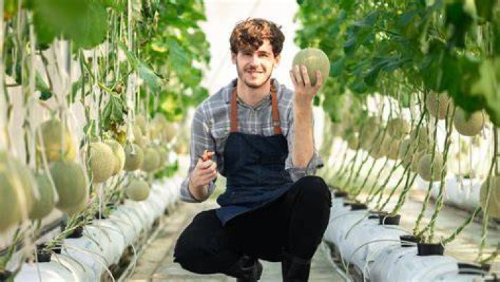 Uncovering Insights Into The "Melonfarmerswife Leaked" Incident
