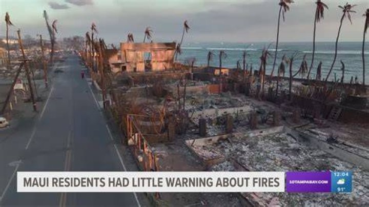 Uncovering The Devastating Impact Of War