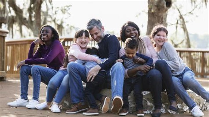 Uncovering The Dynamics Of Blended Families