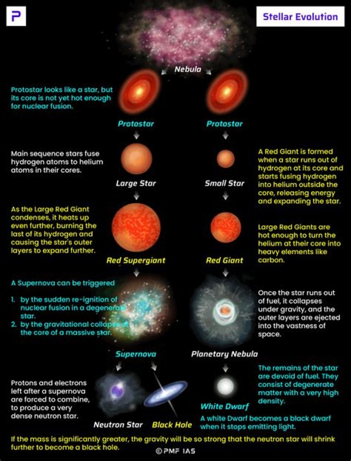 Uncovering The Enigmatic Rise Of A Star